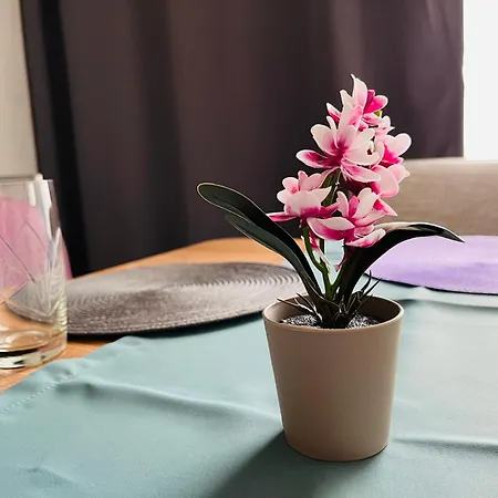 Διαμέρισμα Boutique