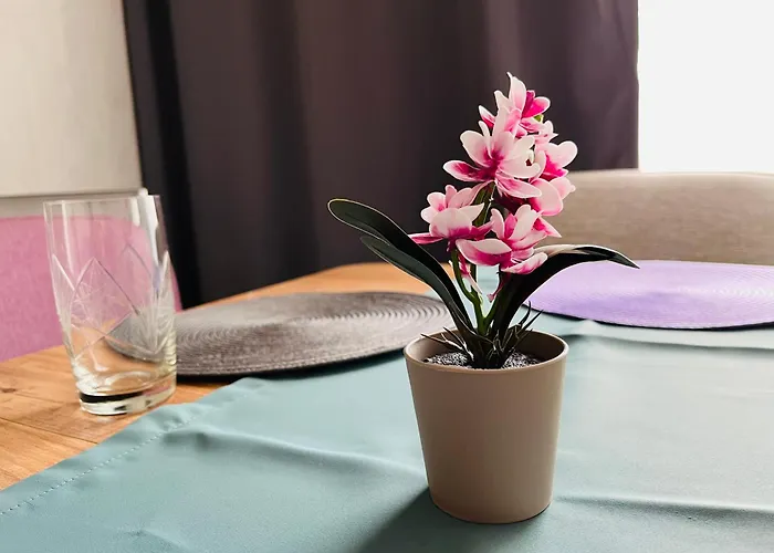 Appartement Boutique